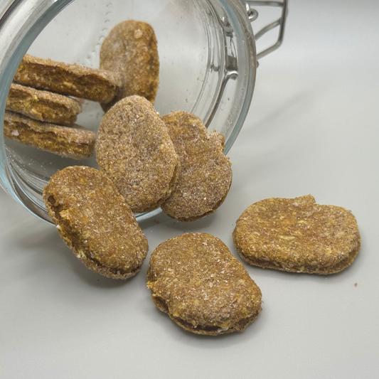 Pumpkin Cinnamon Recipe Dog Treats